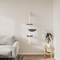 Načíst obrázek do prohlížeče galerie, Nástěnné škrabadlo pro kočky se sloupkem tmavě šedé 142,5 cm
