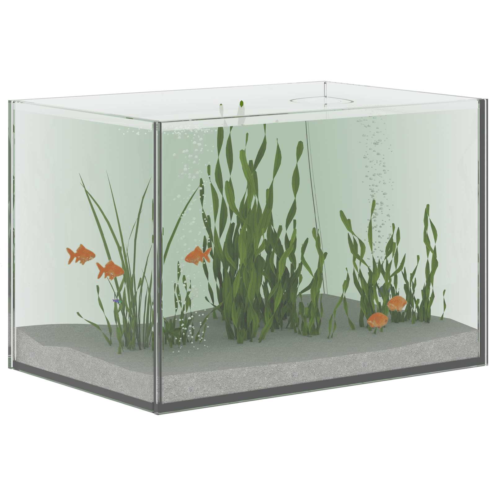 Akvárium S Úložištěm Transparentní 30 X 20 X 20 Cm Sklo