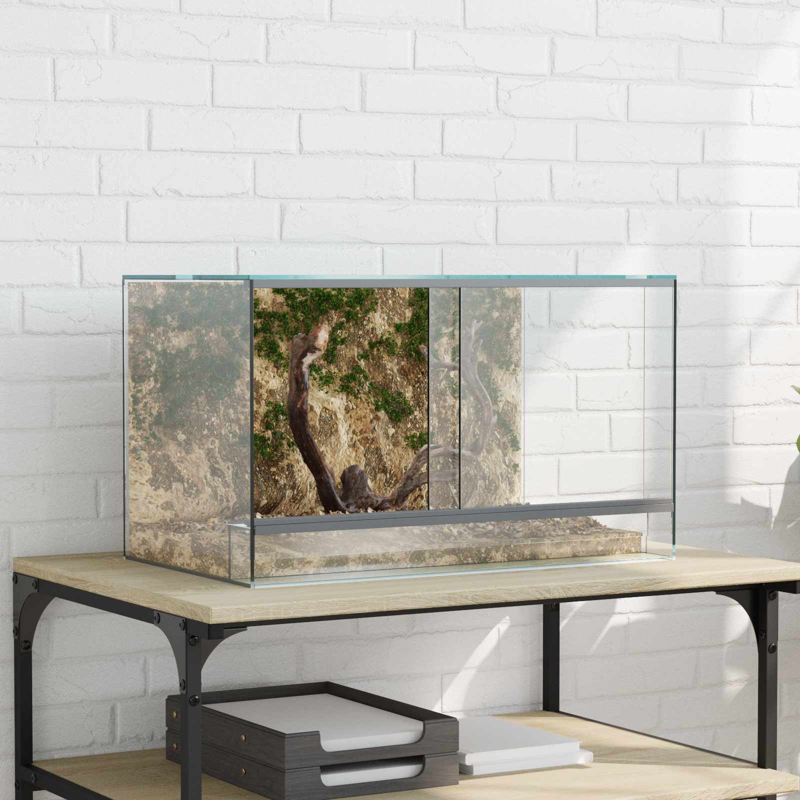 Terárium s úložištěm Transparentní 50 x 30 x 30 cm Sklo