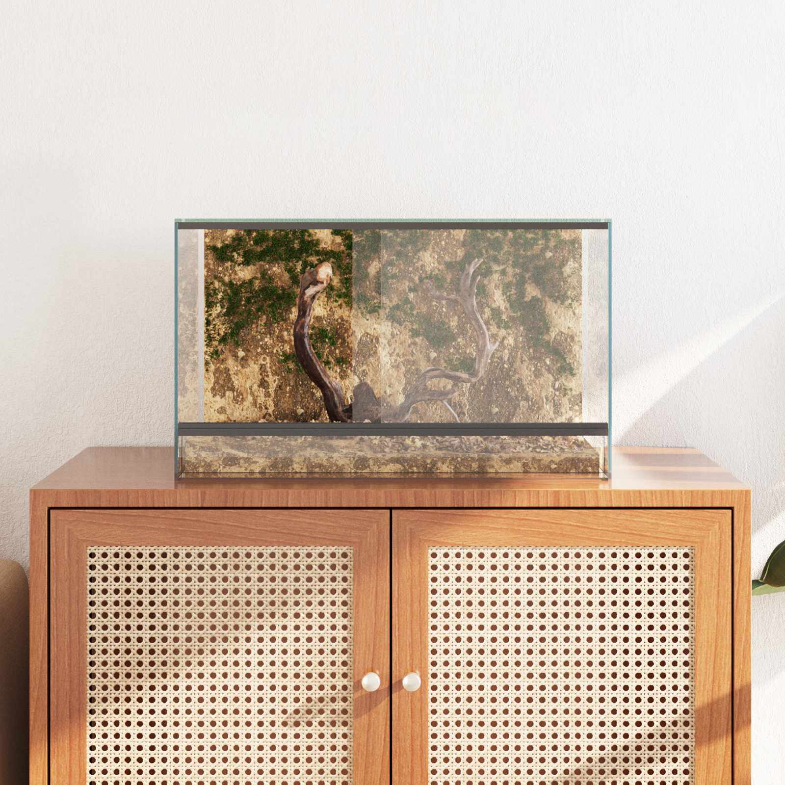 Terárium s úložištěm Transparentní 50 x 30 x 30 cm Sklo