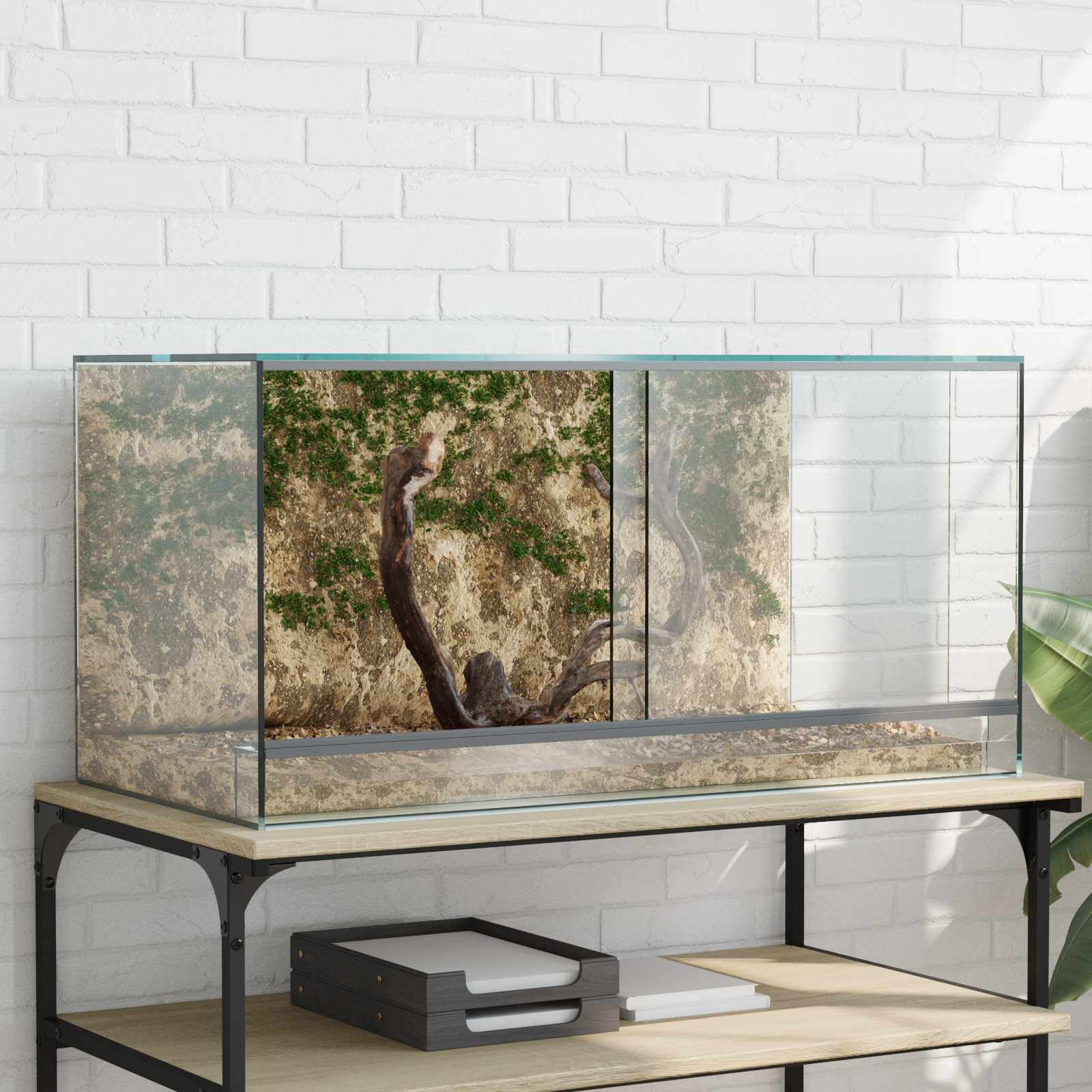Terárium s úložištěm Transparentní 80 x 40 x 40 cm Sklo